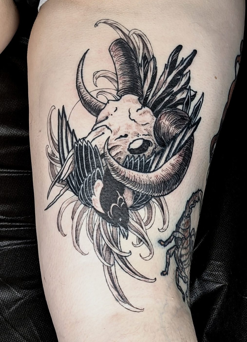 Ram skull blackwork