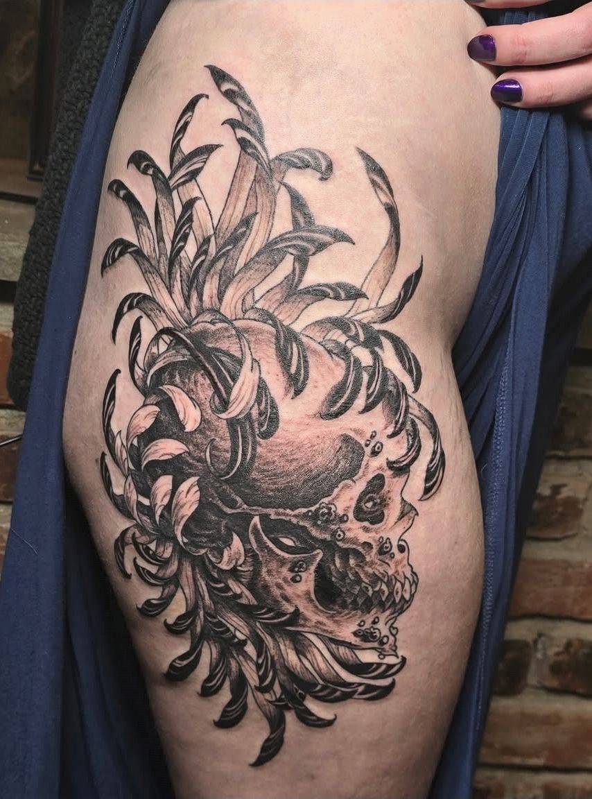 Skull chrysanthemum