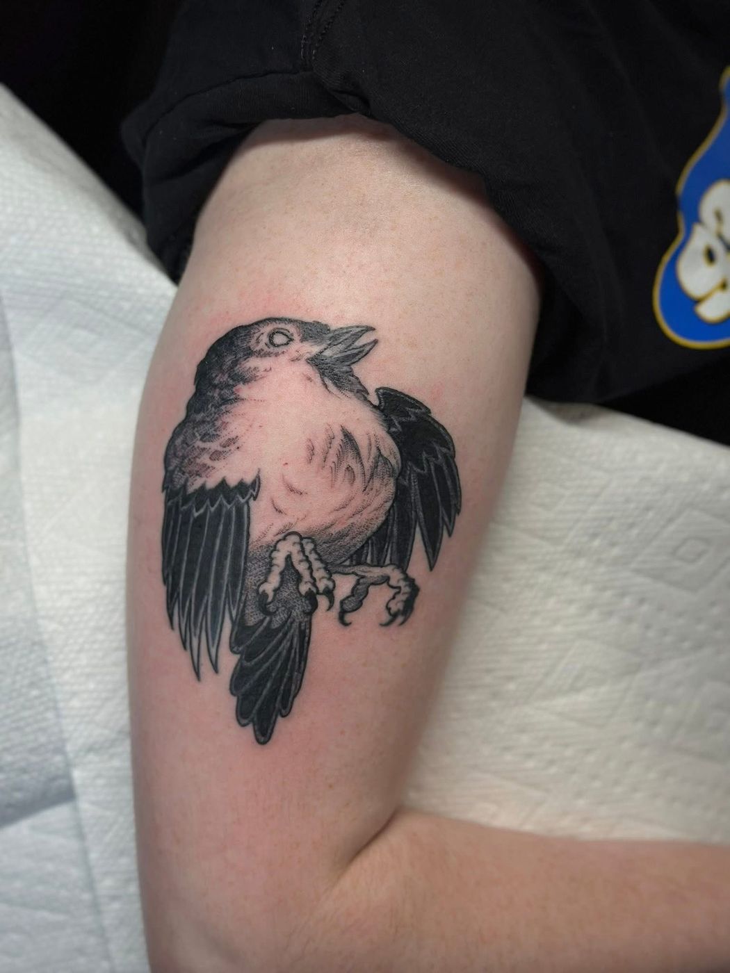 Raven blackwork